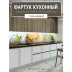 Фартук для кухни на стену 3000х600 мм, Цитрусы и лед