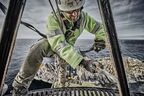 Набор стамесок DEWALT DWHT0-16148, с дополнительной режущей кромкой, 18/25/32 мм, 3 шт.