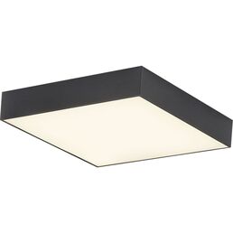 Потолочный светильник Citilux Тао LED CL712X242N