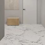 Глазурованный керамогранит Arcadia Ceramica Borghini Silver Carving 60x60 см 1.44 м² матовый цвет белый