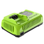 Зарядное устройство Greenworks G24C8 2958707 24V, 8A