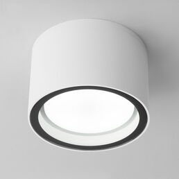 Потолочный светильник уличный IP54 35144/H Elektrostandard Light белый