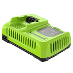 Зарядное устройство Greenworks G24C8 2958707 24V, 8A