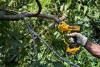 Аккумуляторный секатор DEWALT DCMPP568N, 18 В, рез до 38 мм, без АКБ и ЗУ (DCMPP568N-XJ)