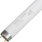 Лампа люминесцентная Osram T8 G13 18 Вт 590 мм нейтральный белый свет