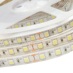 Лента светодиодная SMD 5050 6500К 12 В 14,4 Вт/м 5 м IP20 Apeyron (10BL)