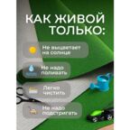 Газон в рулоне уличный в рулоне 150 на 800 см, 1,5 на 8 метров