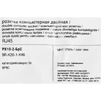 Компьютерная розетка двойная встраиваемая IEK Brite РК10-2-БрС RJ45 UTP cat 5e цвет сталь