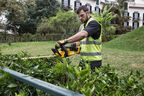 Аккумуляторный кусторез DEWALT DCM563PB, 18 В, 56 см, 1400 ход/мин, без АКБ и ЗУ (DCM563PB-XJ)