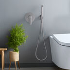 Встраиваемый смеситель с гигиеническим душем Aquatek Бетта AQ1119CR хром