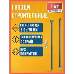 Гвозди 3х70 мм ГОСТ 4028-63, 1 кг