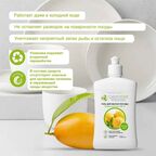 Гель для мытья посуды Clean Home Манговый сорбет