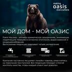 Насос погружной дренажный фекальный Oasis 130R, 18600 л/час