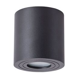 Потолочный светильник уличный IP44 Arte Lamp Galopin A1460PL-1BK