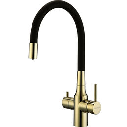 Смеситель для кухонной мойки Paulmark Salix Sa213419-G золото