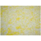 Жидкие обои Silk Plaster Ecoline 766 0.8 кг