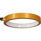 Люстра потолочная светодиодная Arte Lamp Carmela с пультом управления 20 м² регулируемый белый свет цвет черный