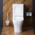Унитаз-компакт Damixa Titan DX78C8600SC белый, с крышкой микролифт
