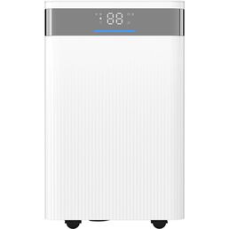 Осушитель воздуха Ballu Vector BD-10L VT НС-1710524