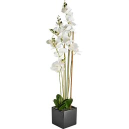 Искусственное растение Орхидея h84 см ткань белый