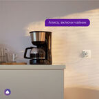 Умная розетка Gauss Smart Home (5510122) белая с заземлением
