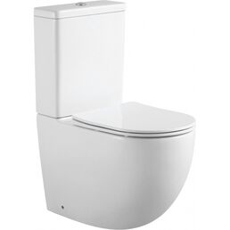 Унитаз напольный Aquanet Cetus 2.0 LX-2903 с сиденьем микролифт, белый