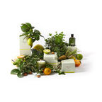 Сменный аромат для аромапопурри Christian Tortu Jardin Citrus Цитрусовые сады