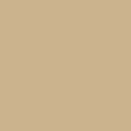 Краска водоэмульсионная для стен и потолков износостойкая матовая Profipaints SILVER INTERIOR VISION 0.9л , Капучино