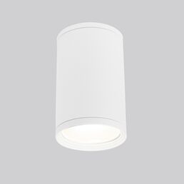 Потолочный светильник уличный 35128/H IP65 Elektrostandard Gira белый