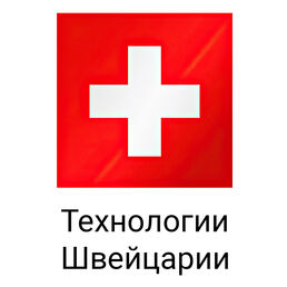 Ерш для унитаза Spirella Rоma, черный с серебром