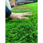 Газон искусственный 2 на 5.5 (высота ворса 35мм) искусственный, имитация настоящего газона