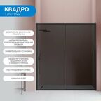 Душевая дверь в нишу 170х195 см. Квадро стекло тонированное, профиль черный