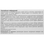 Лилейник Geolia гибридный Литтл Анна Роза
