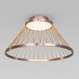 Потолочный светильник круглый Eurosvet Cesta 40019/1 LED коричневый