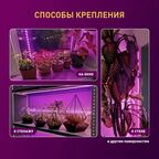 Светодиодная лента для растений Эра fito 2 м 18 Вт 220 В 1800 красно-синего спектра фиолетовый свет влагостойкая