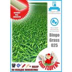 Линолеум на отрез 1,5 на 4,5 IVC Bingo Grass 025