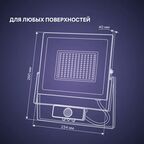 Прожектор светодиодный Ritter Profi 53424 6 100 Вт 10000 Лм 180-240 В с датчиком движения холодный свет 6500К IP65 черный
