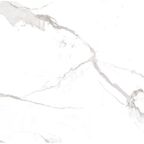 Керамогранит Arcadia Ceramica Statuario Mires 60x60x0.9 см 1.44 м² глянцевый цвет белый