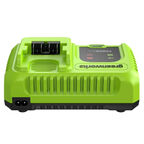 Зарядное устройство Greenworks G24C8 2958707 24V, 8A