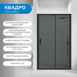 Душевая дверь в нишу 120х195 см. Квадро стекло тонированное, профиль черный