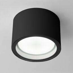 Потолочный светильник уличный IP54 35144/H Elektrostandard Light черный