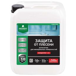 Антисептик для минеральных поверхностей PROSEPT FUNGI STOP 018-5