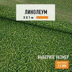 Линолеум для пола на отрез 3х1 м IVC Bingo Grass 025, бытовой, 22 класс, 4820625-3х1