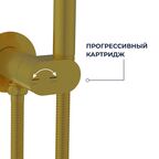 Гигиенический душ со смесителем RGW SP-213Gb