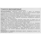 Гладиолус крупноцветковый Момбаса Geolia 3 шт