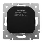 Розетка встраиваемая Lexman Виктория с заземлением разъем USB цвет белый
