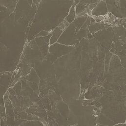 Глазурованный керамогранит Kerama Marazzi Лоди SG648720R 60x60 см 1.8 м² матовый цвет коричневый