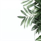 Душевой уголок Domani-Spa Delight 1/4 круга 90x90 см черный профиль прозрачное стекло раздвижной