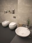 Раковина накладная Bien PENT PNLG04901FD0W3000
D49