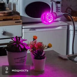 Фитолампа светодиодная для растений Uniel E27 9 Вт 250 Лм красно-синий спектр розовый свет
